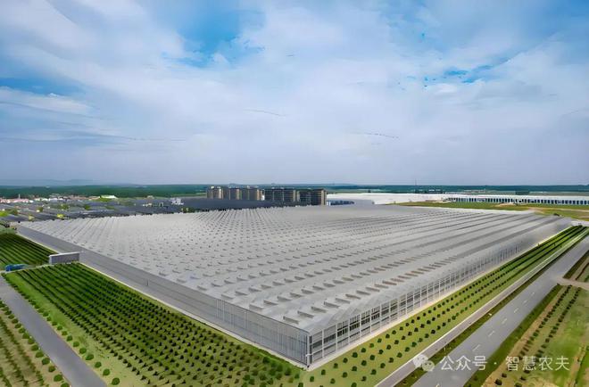 全球温室大棚市场规模有望达到4844亿美元(图1)